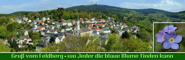 Süchtig Nach Schokoschwänzen Süchtig Nach Schokoschwänzen